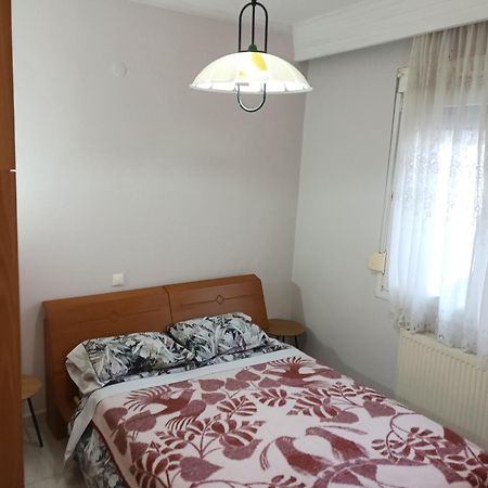 Apartment Marios Soufli Ευρύχωρη Γκαρσονιέρα, 60M2 Στο Κέντρο Souflion Bagian luar foto